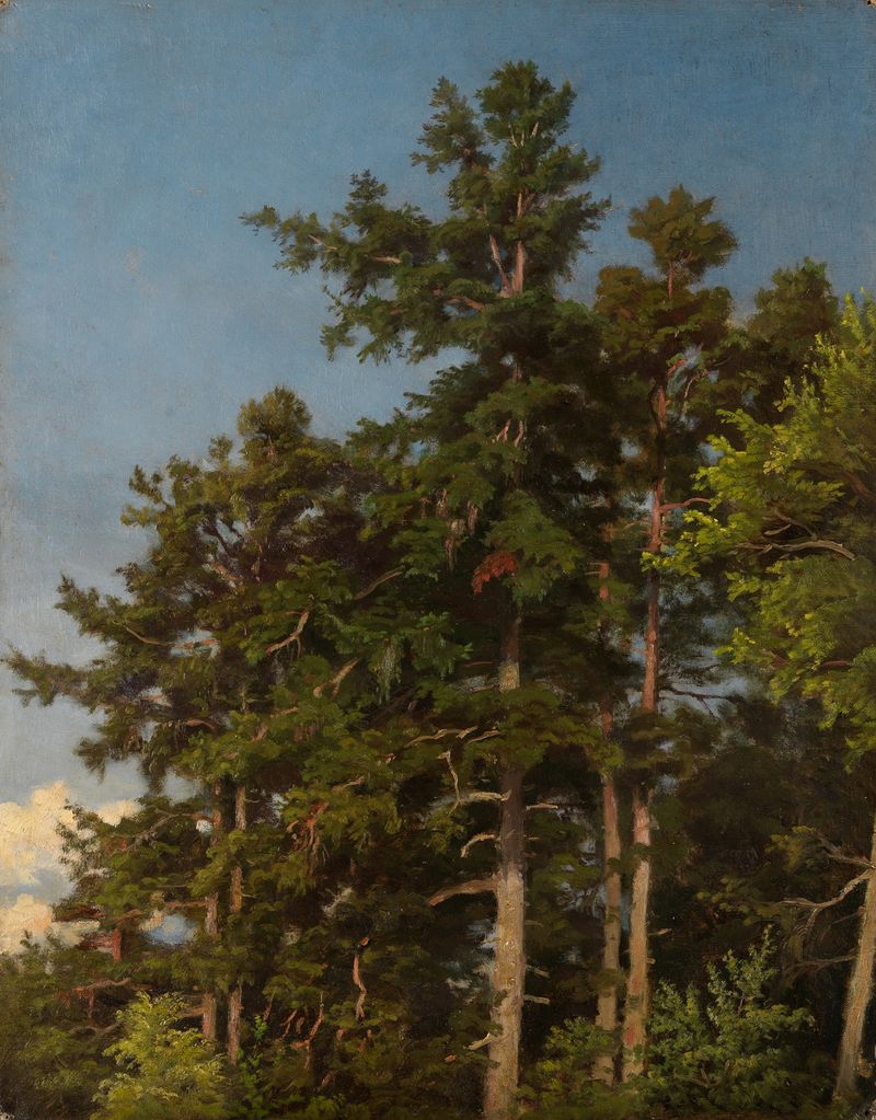 Eichenwipfel by Emil Lugo, depicting a forest with dappled light, oil painting