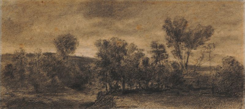 Paysage boisé de Théodore Rousseau, óleo que muestra un bosque con luz del sol filtrándose entre las hojas.