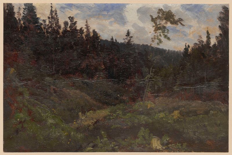 Clearing de Adolf Dressler, óleo sobre tela retratando uma floresta tranquila com luz filtrada.