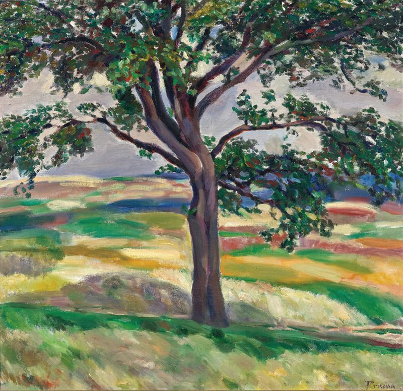 Árbol de Jindrich Prucha, Post-Impresionismo, colores vibrantes y texturas