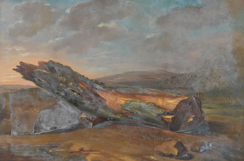 Paisagem de Eugène Joseph Verboeckhoven, pintura a óleo que retrata vegetação exuberante e nuvens dramáticas.
