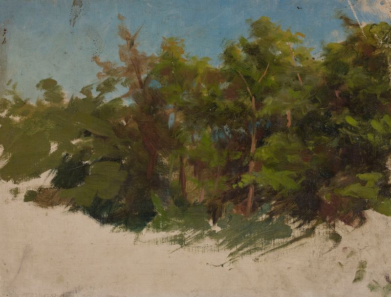 Study from Podolia de Jan Ciągliński, óleo sobre lienzo que representa un atardecer sobre colinas onduladas