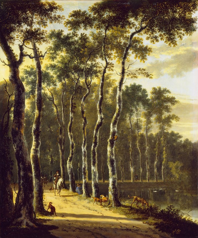 Un Avenida en un Bosque de Jan Hackaert, óleo sobre lienzo que representa un sendero en el bosque.