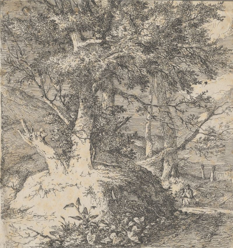 Wooded Landscape de John Crome, óleo sobre tela que retrata uma floresta serena com luz dourada.