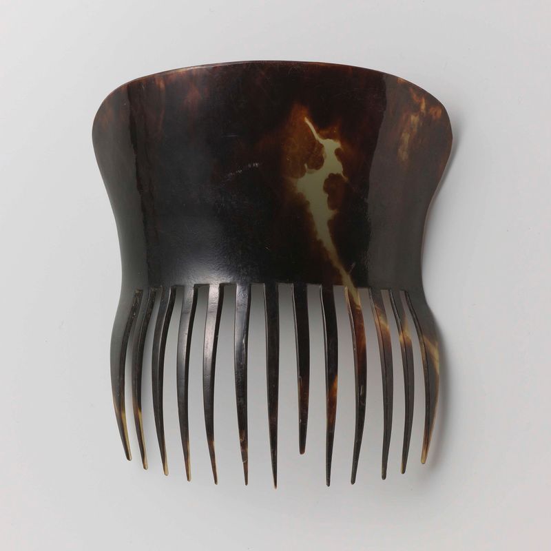 Casco de tartaruga com padrões intrincados, meio desconhecido de Unknown Artist