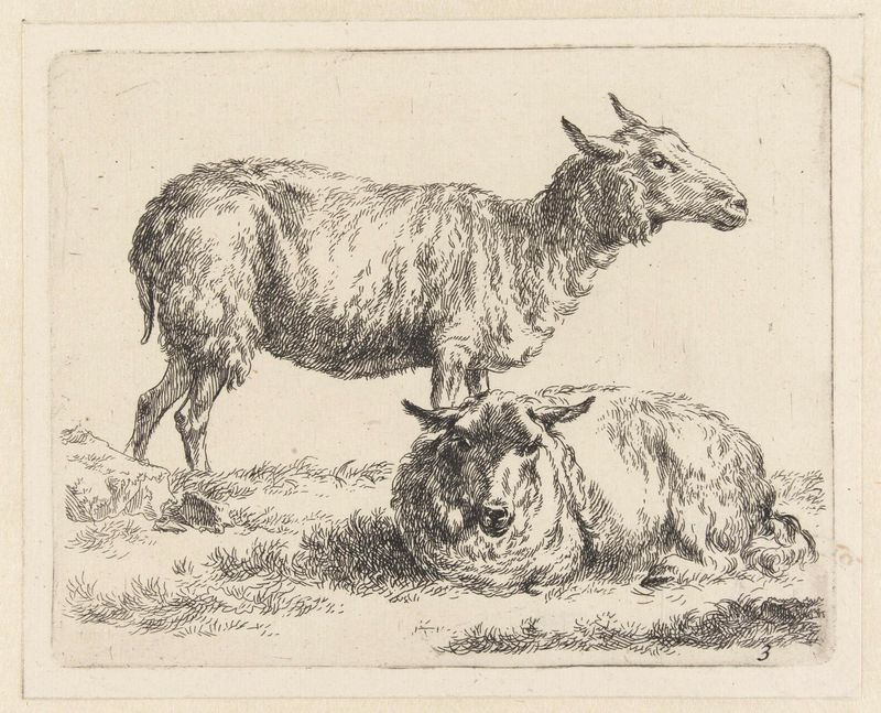 Gravura de Nicolaes Pietersz Berchem mostrando ovelhas em uma paisagem serena