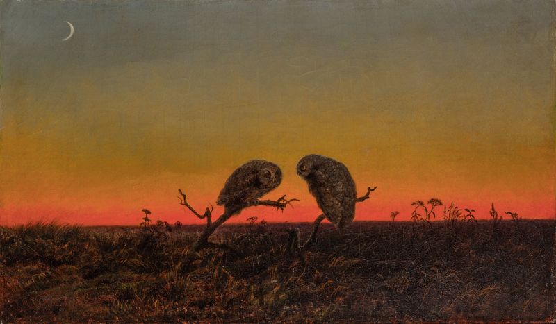 Dos búhos al atardecer, óleo sobre lienzo de un artista no identificado