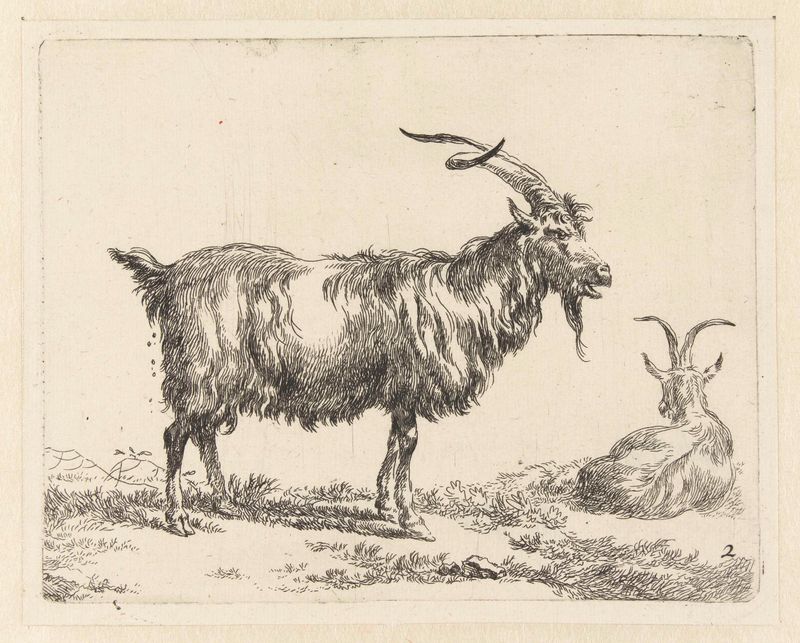 Two goats in an etching by Nicolaes Pietersz Berchem