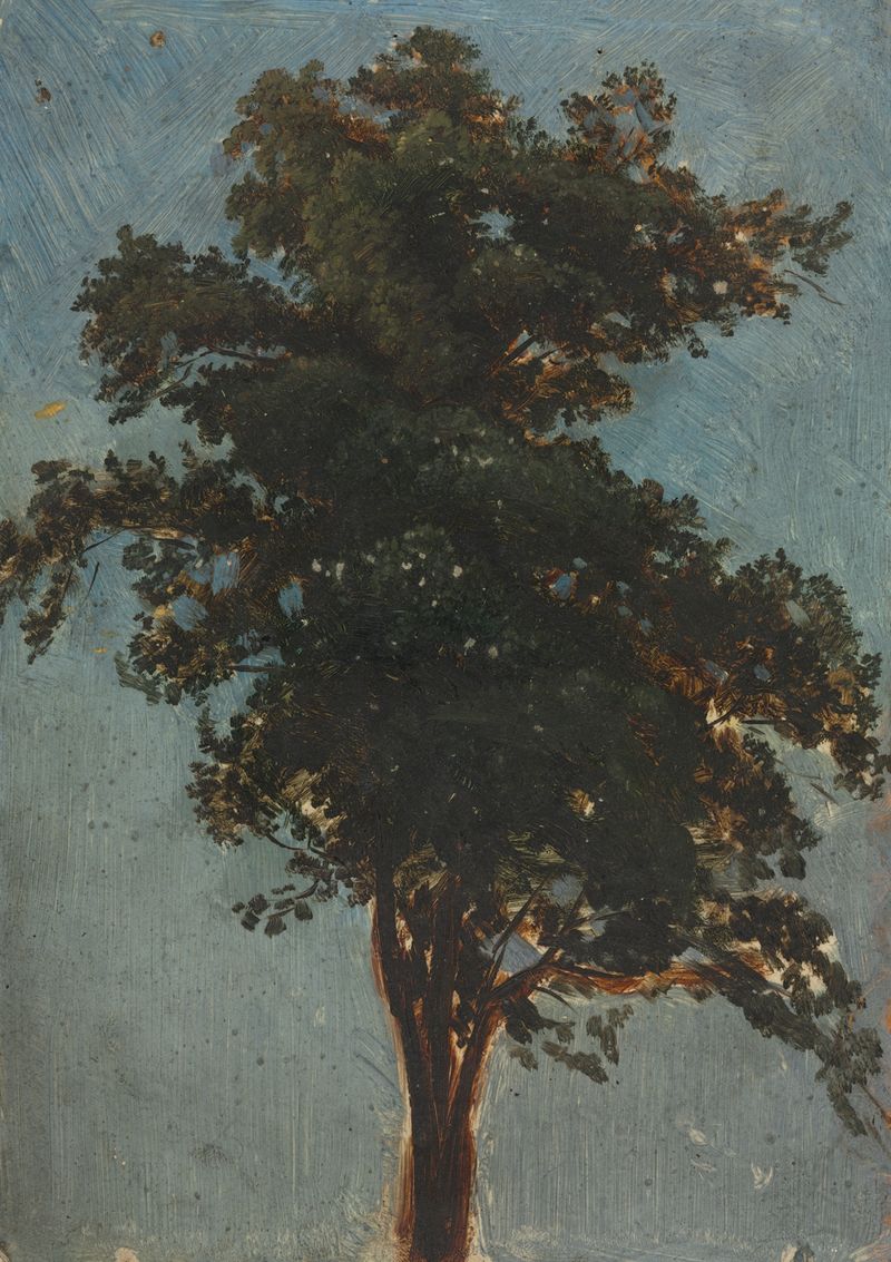 Tree Study de Alexandre Calame, óleo sobre lienzo que representa un gran árbol en un paisaje tranquilo.