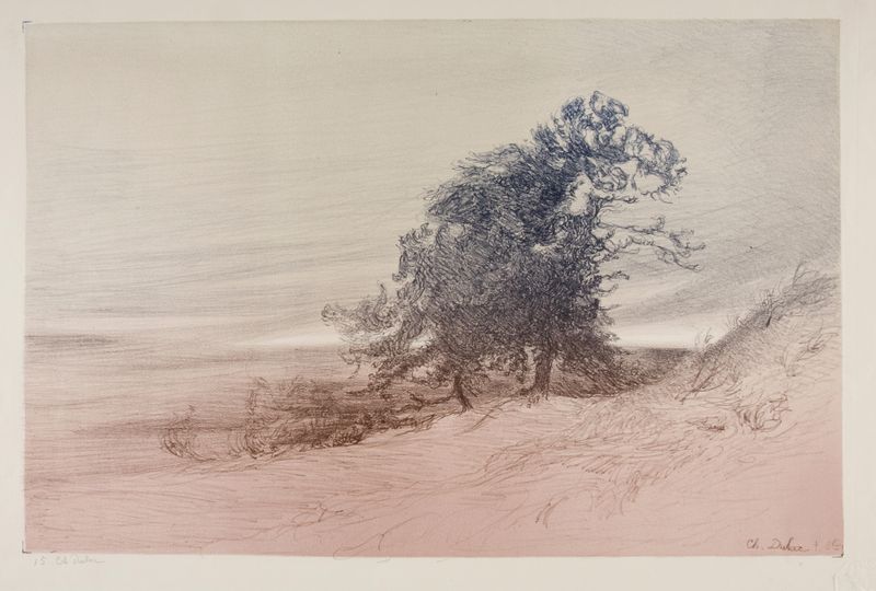 Groupe d’arbres by Charles Marie Dulac, oil on canvas depicting trees in a lush forest.