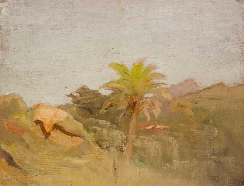 Palmera en Ceilán de Jan Ciągliński, pintura al óleo que muestra una palmera alta contra el horizonte.