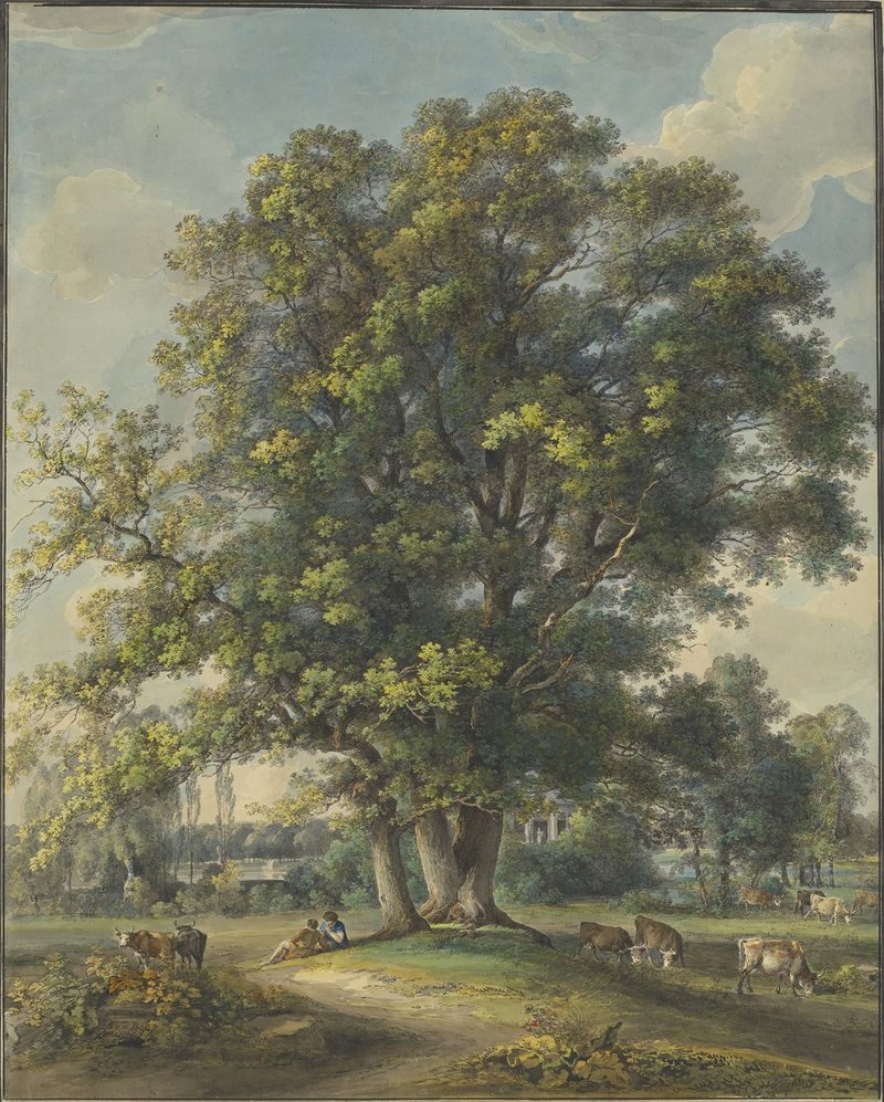 Pintura a óleo de paisagem de Johann Georg von Dillis mostrando colinas serenas e natureza.