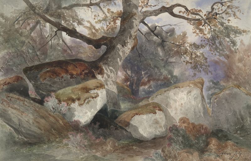 Forest Scene de Alexis-Victor Joly, óleo sobre lienzo que representa un bosque sereno con luz dorada.