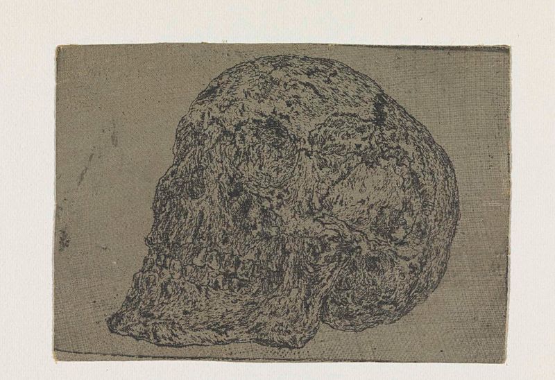 Gravura de um crânio por Hercules Segers com detalhes intrincados.