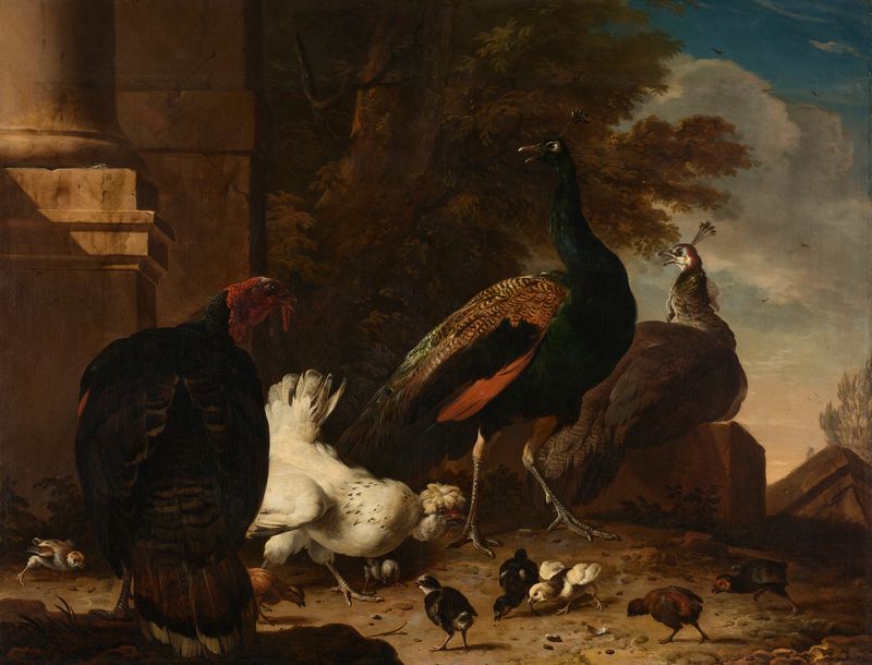 Galinha cuidando dos pintinhos cercada por pavões e um peru, pintura a óleo de Melchior d'Hondecoeter