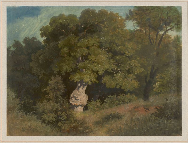 Fragmento de uma floresta de Arthur Blaschnik, pintura a óleo que retrata uma cena serena de floresta.