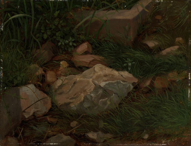 Obra de realismo Steine im Gras de Hans Thoma que representa piedras entre hierba.