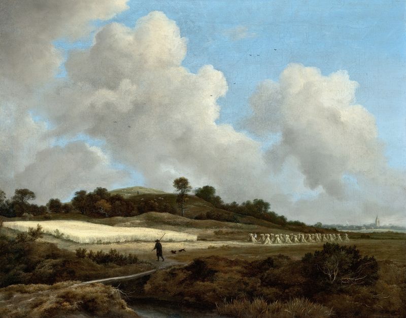 View of Grainfields with a Distant Town, óleo sobre tela de Jacob van Ruisdael