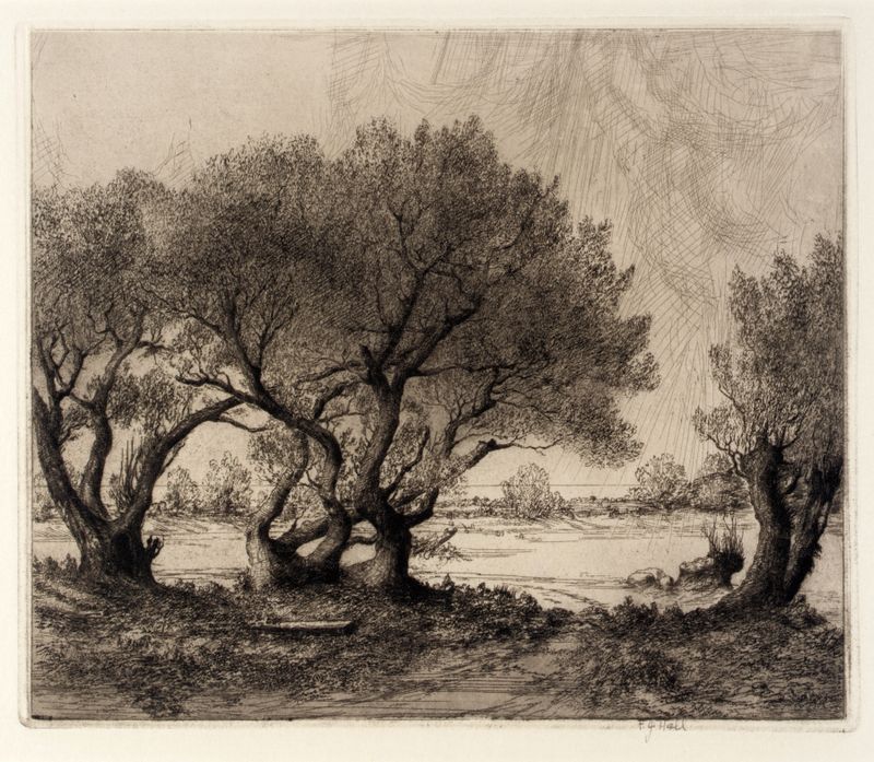 Old Willows de Frederick G. Hall, óleo sobre lienzo que representa sauces y luz suave.