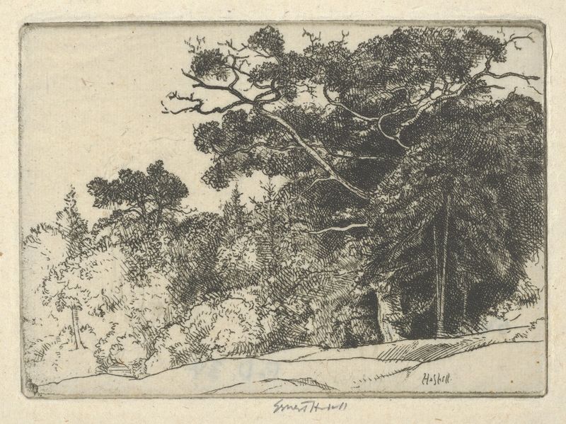 Xilografía de Ernest Haskell que representa un roble solitario en un entorno forestal