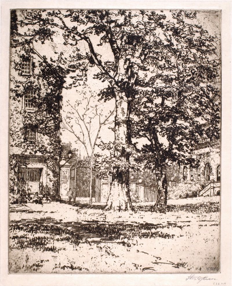 Paisagem de Harvard Yard de Thomas Wood Stevens, retratando vegetação e arquitetura.