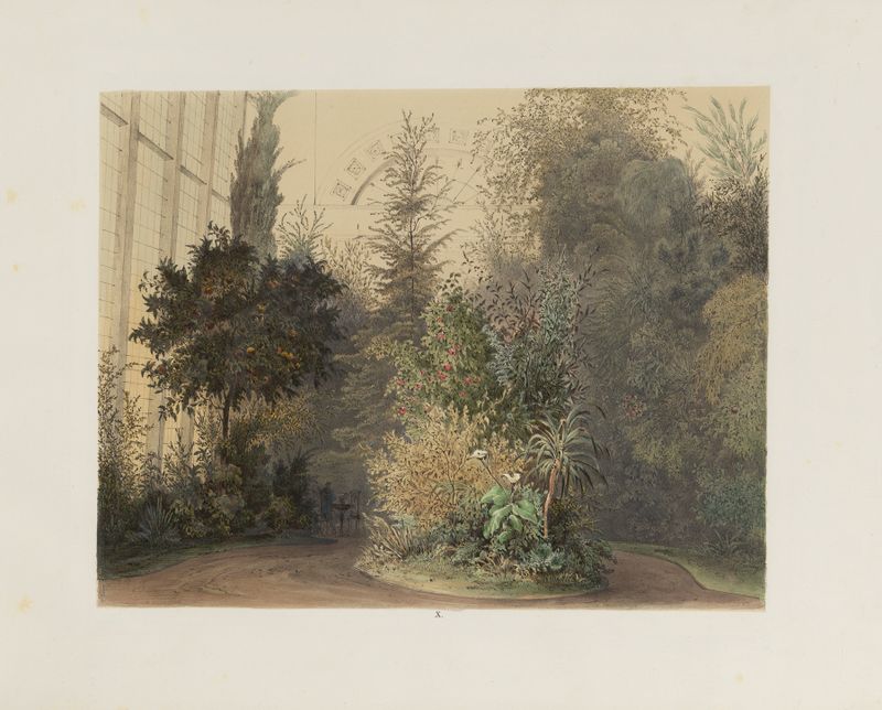 Interior scene with lush foliage and ornate architecture by Franz Antoine