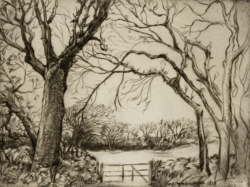 Paisagem impressionista de uma floresta por Donald Shaw MacLaughlan