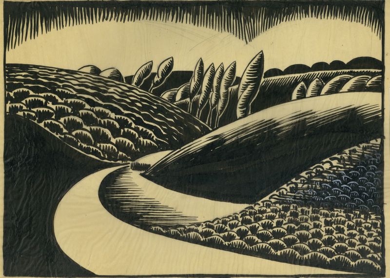 Landscape in ink by Albert Daenens, showcasing intricate textures and contrasts.