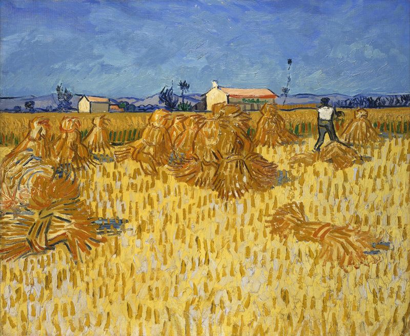 Corn Harvest in Provence, óleo sobre lienzo de Vincent van Gogh mostrando campos vibrantes y luz solar.
