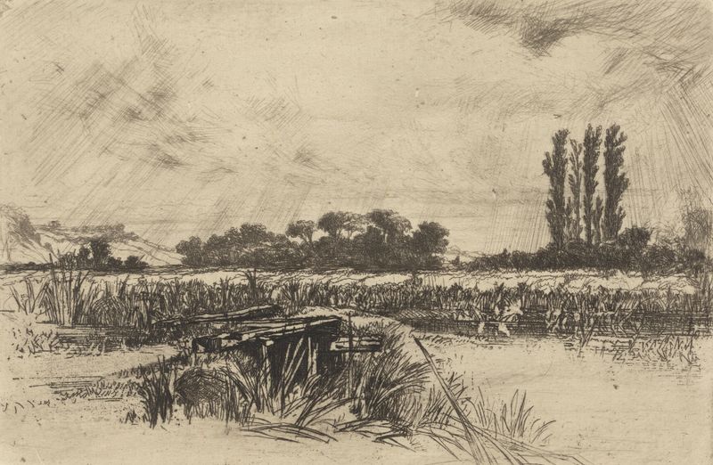 A Water Meadow gravura de Francis Seymour Haden retratando uma paisagem tranquila com grama e pôr do sol.