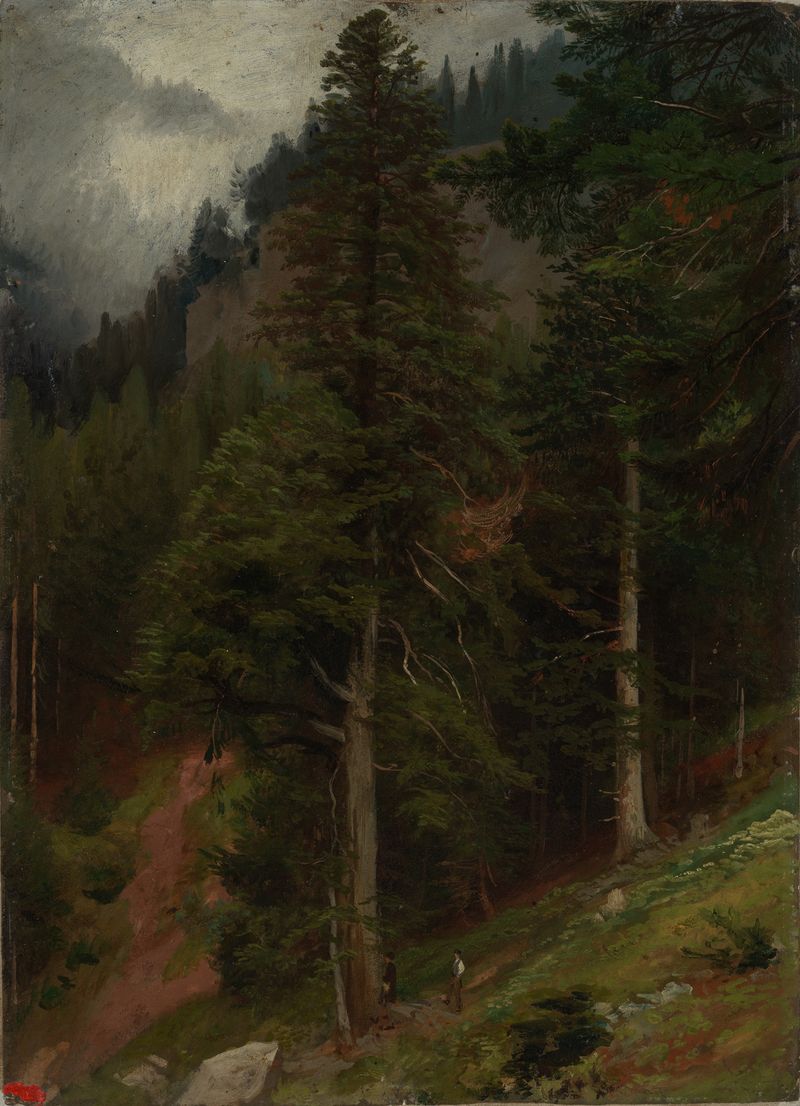 Forest landscape with conifers, oil on canvas by Johann Wilhelm Schirmer