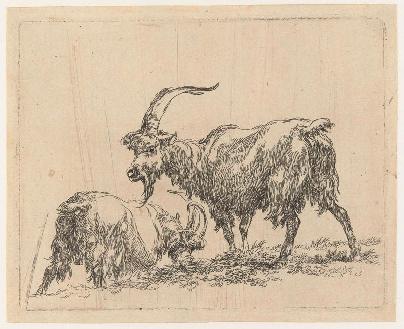 Paisagem pastoral com cabras pastando, gravura de Nicolaes Pietersz Berchem