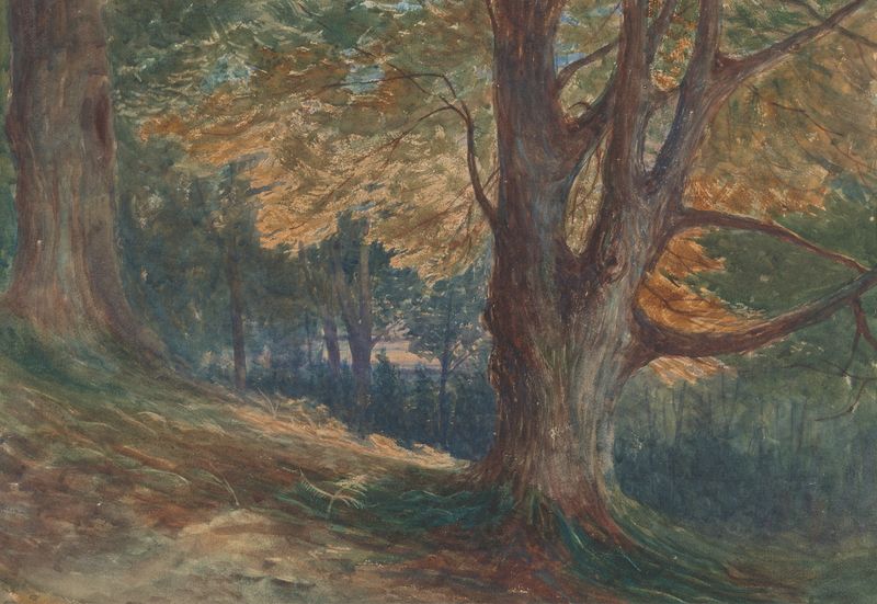 Trees on a hill in a wooded landscape, oil on canvas by Charles Reginald Aston