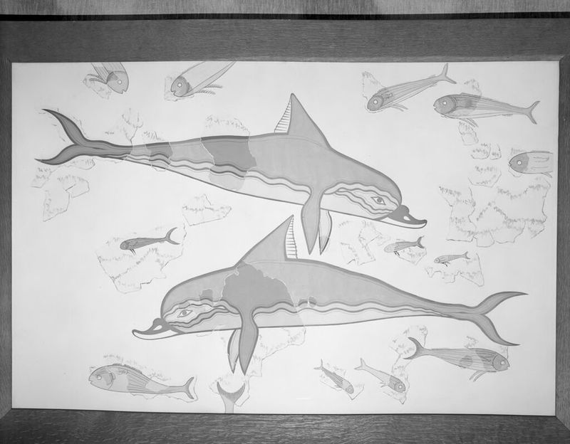 Aquarela de artista não identificado retratando golfinhos e peixes em uma cena marinha vibrante