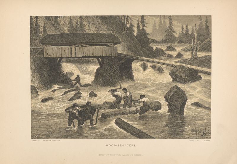 Wood-floaters de Theodor Gsell Fels, óleo sobre lienzo, que representa árboles y luz en la naturaleza.