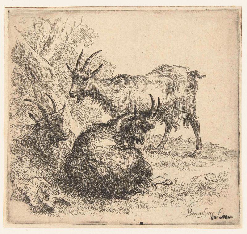 Tres cabras en un paisaje exuberante, grabado de Nicolaes Pietersz Berchem