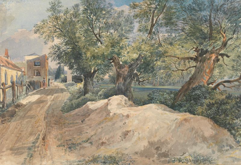 Swan Lake, Craven Hill, Bayswater de Albert Fleetwood Varley, óleo sobre lienzo que muestra cisnes en agua tranquila.