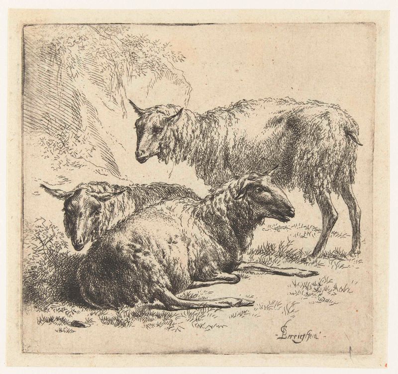 Gravura de Nicolaes Pietersz Berchem mostrando ovelhas em um cenário pastoral