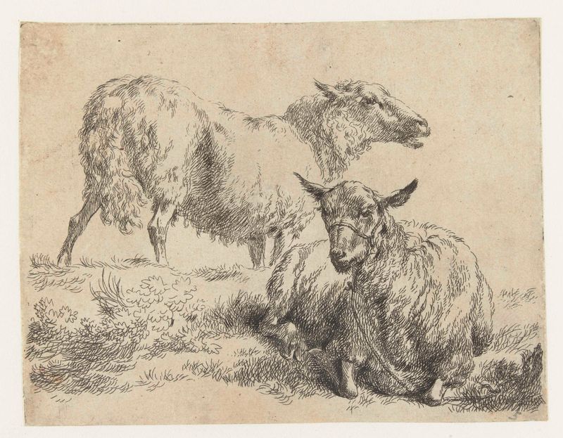 Grabado de Nicolaes Pietersz Berchem que representa ovejas en un paisaje pastoral
