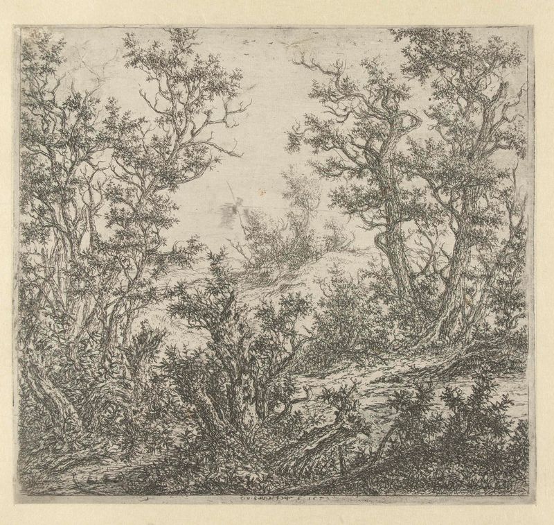 Landscape with Three Oak Trees on the Right, etching by Claes van Beresteyn
