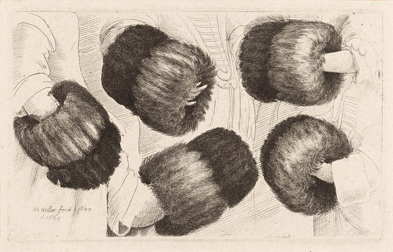 Gravura de Wenceslaus Hollar mostrando uma figura em pose contra um fundo elegante.