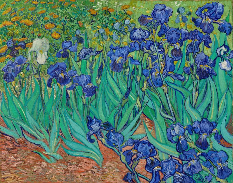 Irises by Vincent van Gogh, oil painting, features vibrant flowers in deep blue and purple hues.
