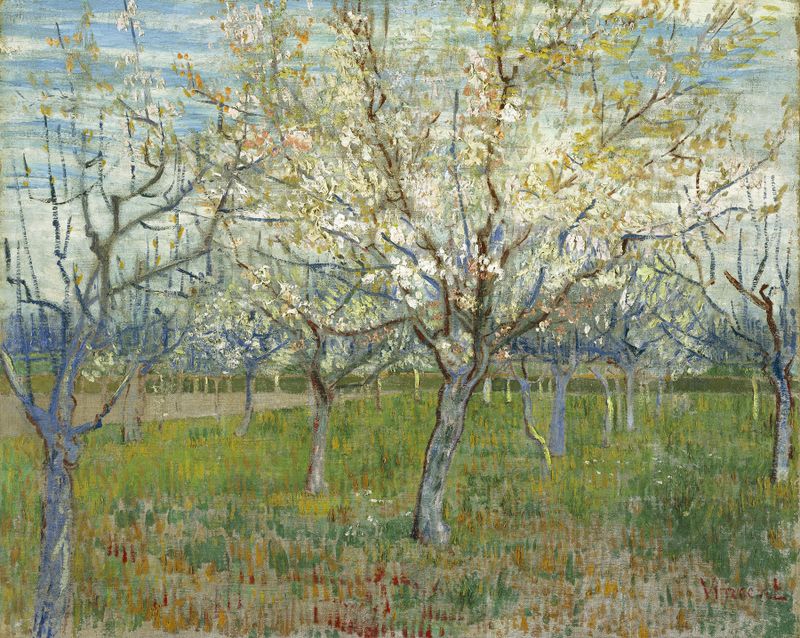 O Pomar Rosa de Vincent van Gogh, pintura a óleo com flores rosas e ramos torcidos.