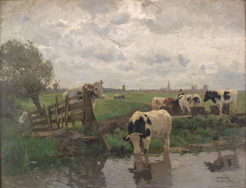 Rinder an der Tränke bei Overschie by Hermann Baisch, oil on canvas depicting cows near water