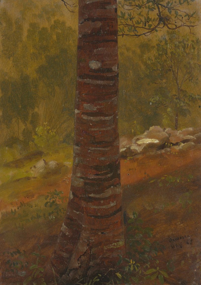 Tree trunk de Frederic Edwin Church, óleo sobre lienzo, mostrando detalles intrincados de un tronco retorcido.