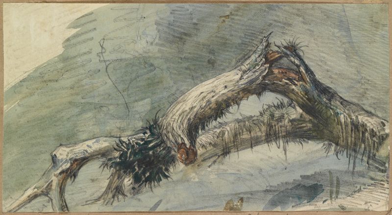 Still life of a broken branch by Ferdinand Keller, oil painting