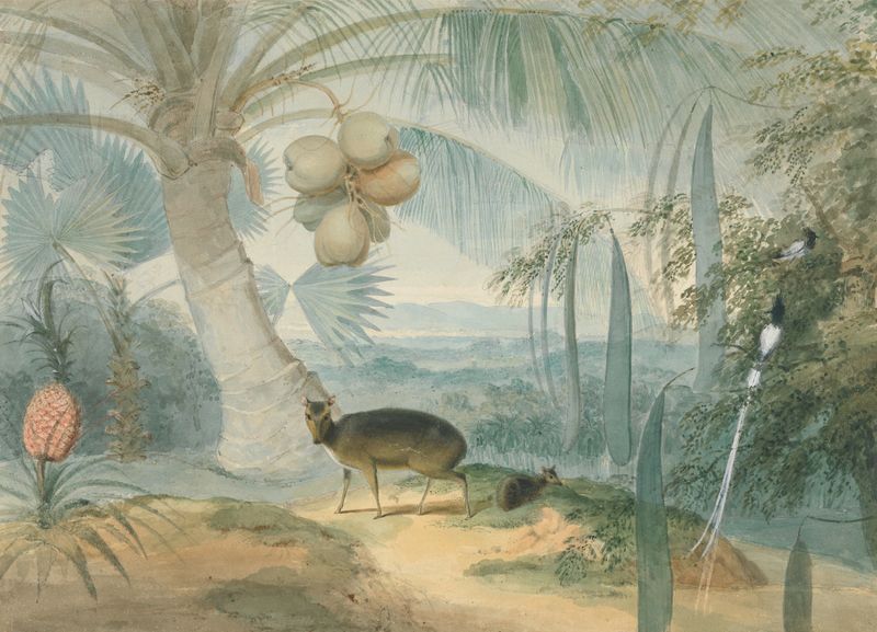 A Landscape in Ceylon, featuring barking deer and fawn by Samuel Daniell, oil painting