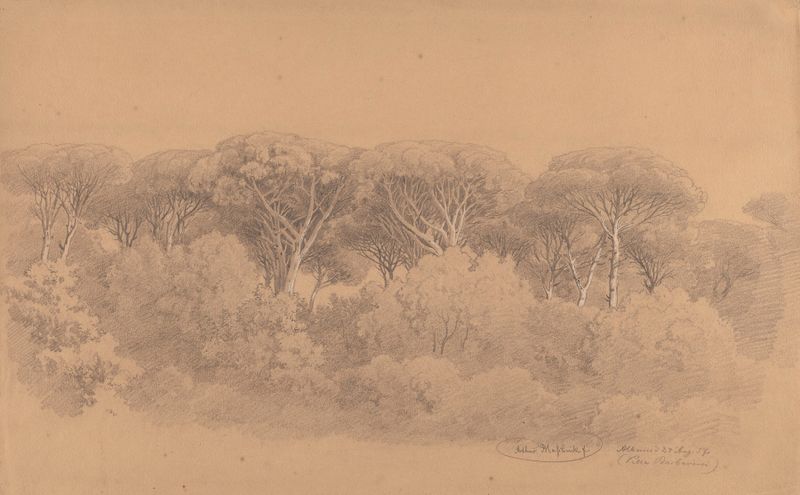 Pinos de piedra y figuras en los jardines de Villa Barberini, óleo sobre lienzo de Arthur Blaschnik