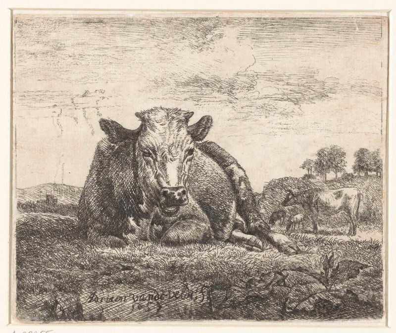 Grabado de una vaca acostada de Adriaen van de Velde