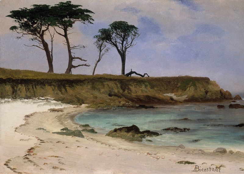 Sea Cove de Albert Bierstadt, pintura al óleo que representa una escena marina tranquila con agua y rocas